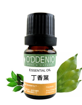 丁香葉精油 Clove Leaf
