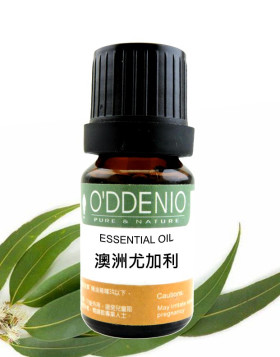 澳洲尤加利精油 Eucalyptus Australiana
