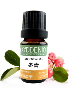 冬青(冬綠/白珠樹)精油  Wintergreen
